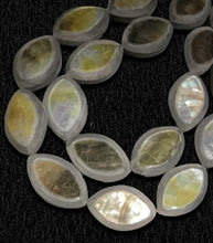 Black Lip Shell Inlay to Horn Football