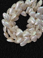 Philippine Shell O White Hearts