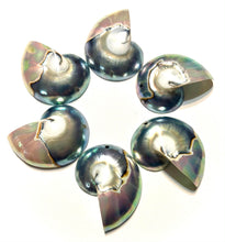 Tiger's Eye 9 Cut 04