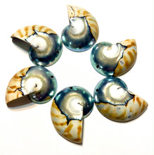 Tiger's Eye 9 Cut 03