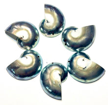 Tiger's Eye 9 Cut 01