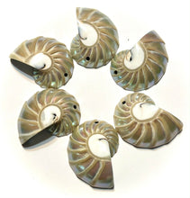 Tiger's Eye 9 Cut 02