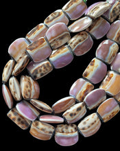 Cowrie Shell Doble-Kara