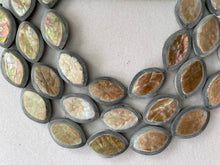 Brown Lip Shell Inlay to Horn Football