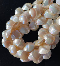 Philippine Shell Moonstone White
