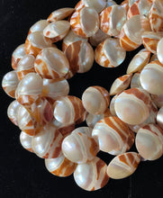Philippine Shell Moonstone Tiger