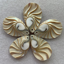 Philippine Shell Teardrop Tiger's Eye with Grooving