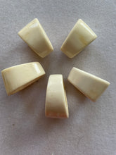 Bone Trapezoid Donut